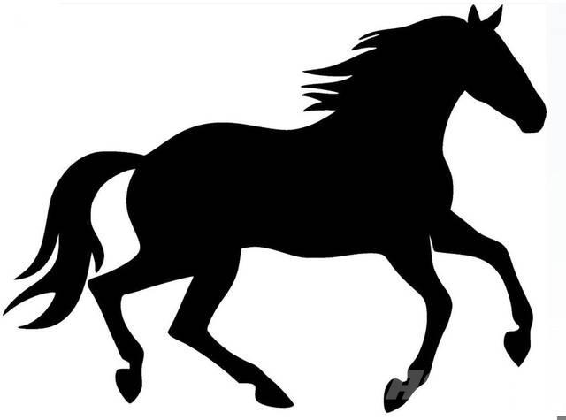  Dark Bay Stallion Anlegg - Annet