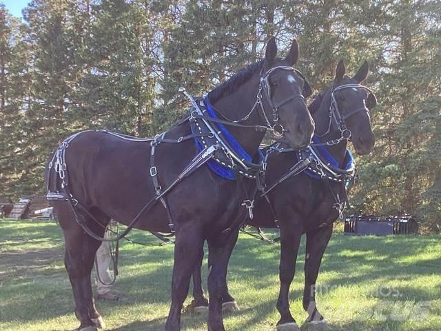  Percheron Team Anlegg - Annet