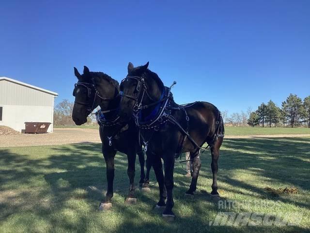 Percheron Team Anlegg - Annet