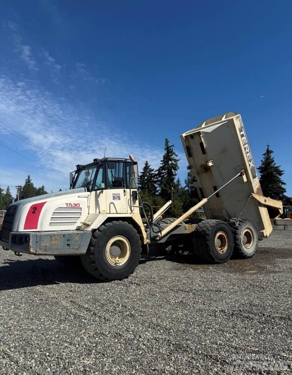 Terex TA30 Varebiler