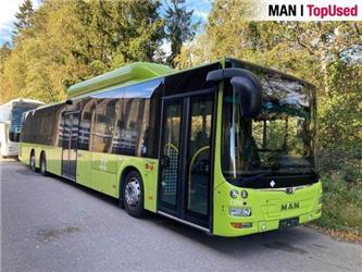 MAN NL313/CNG/15M (310)