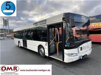 Solaris Urbino
