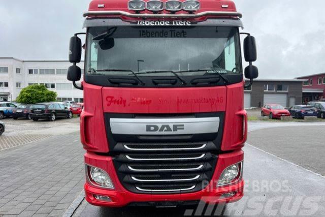 DAF XF460 6x2 Chassis