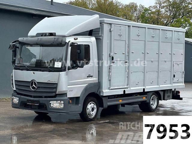 Mercedes-Benz Atego 818 L 4x2 1.Stock Menke-Janzen Viehtransp. Dyretransport