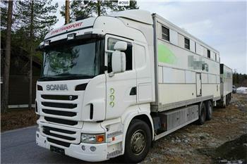 Scania R480 6x2 Truck and trailer for animal transport.
