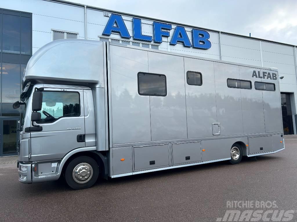 MAN ALFAB Comfort hästlastbil Dyretransport