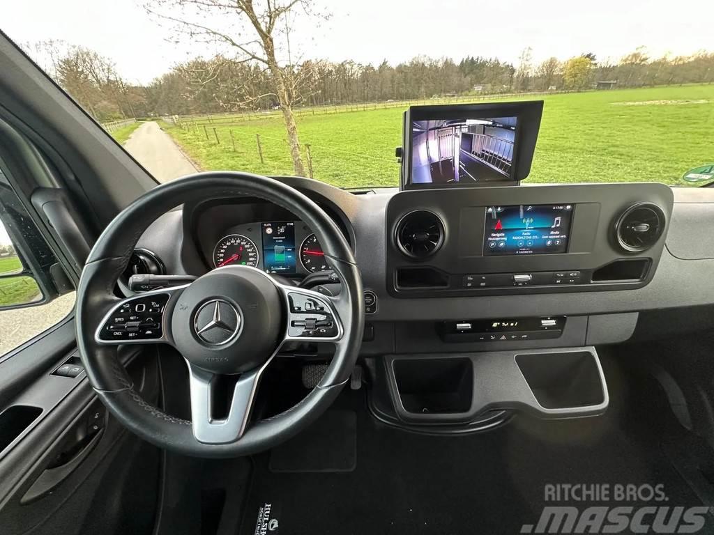 Mercedes-Benz Sprinter AMG 2-paards paardenvrachtwagen B-rijbewi Dyretransport