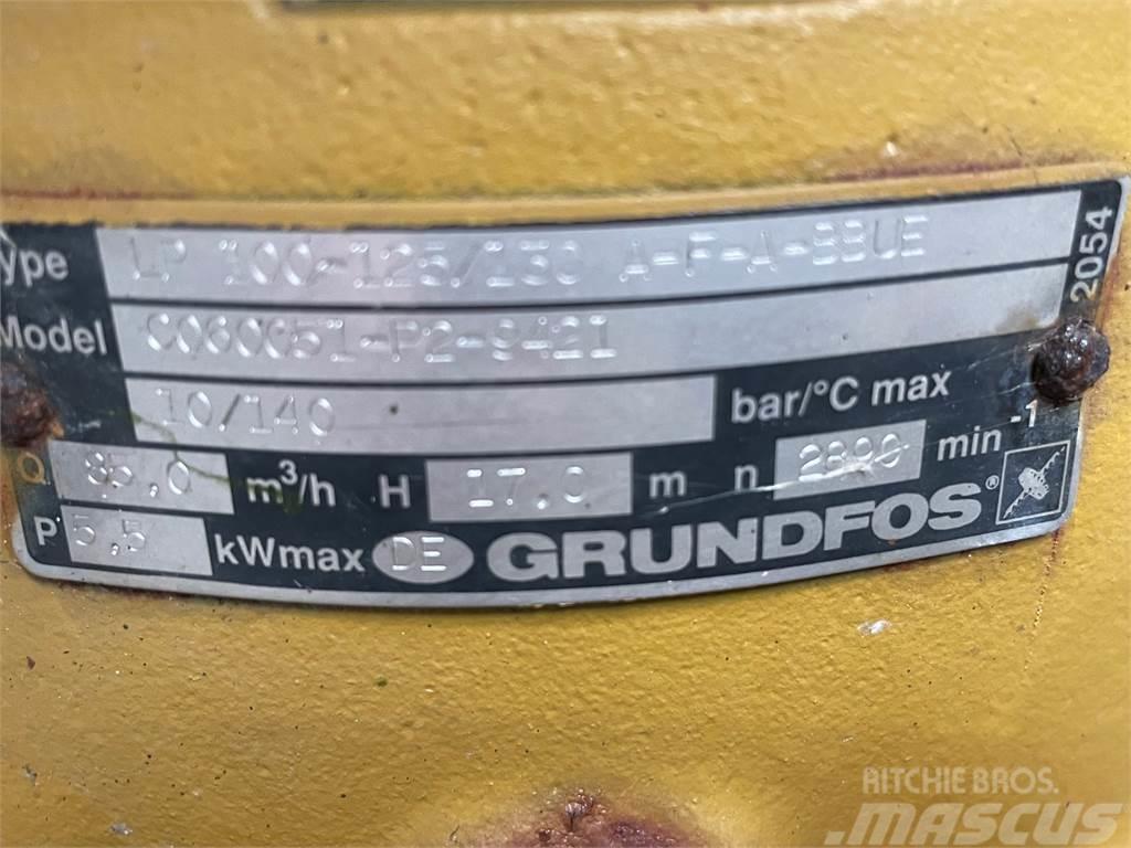 Grundfos type LP 100-125/130 A-F-A-BBUE pumpe Vannpumper
